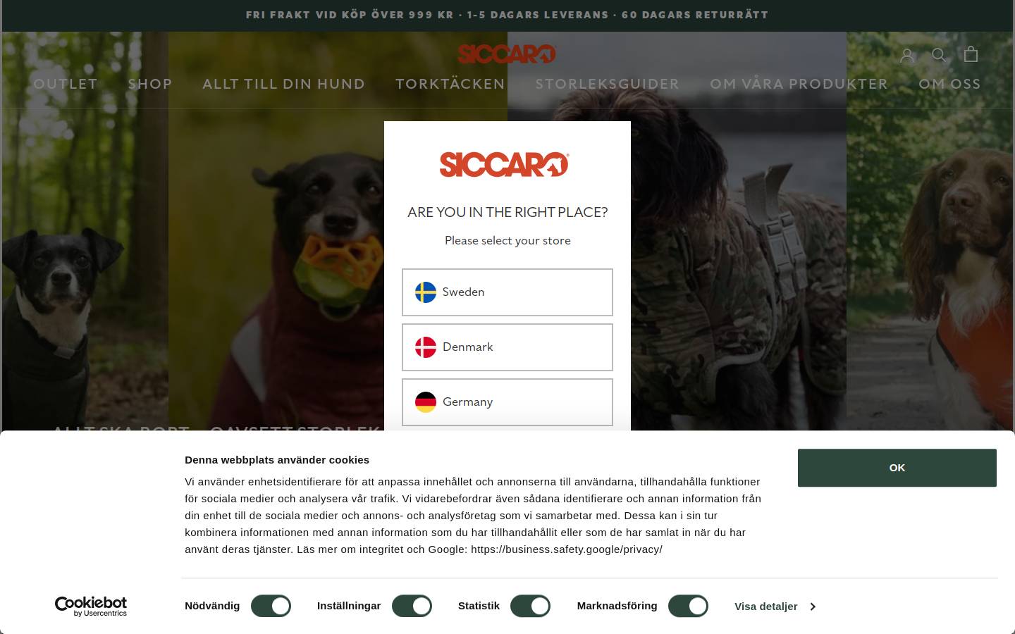 siccaro.se homepage screenshot
