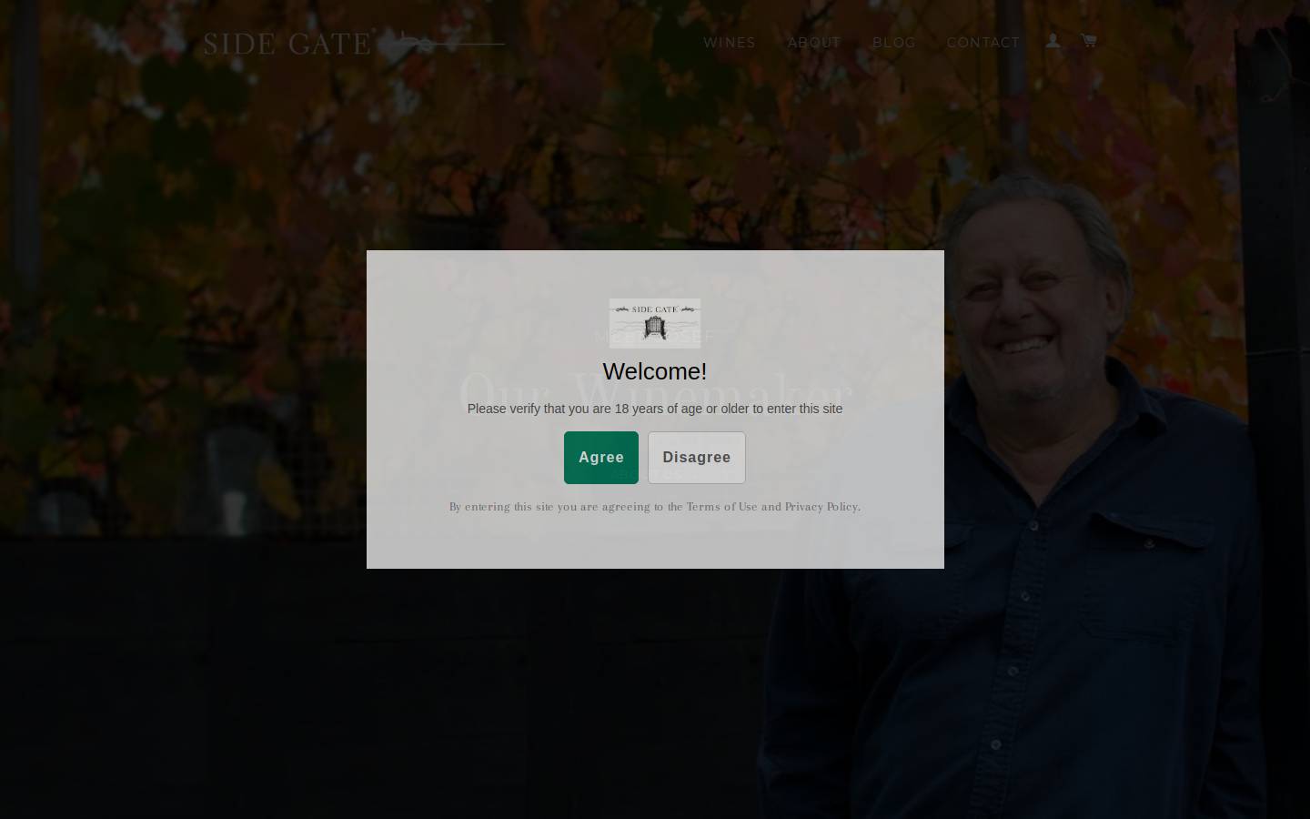 sidegate.com.au homepage screenshot