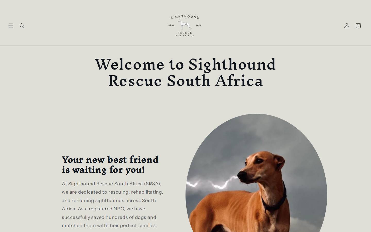 sighthoundrescue.com homepage screenshot
