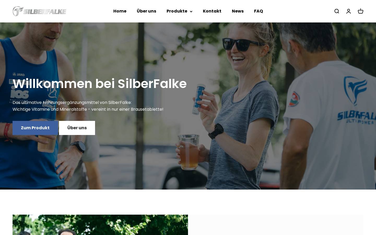 silber-falke.de homepage screenshot