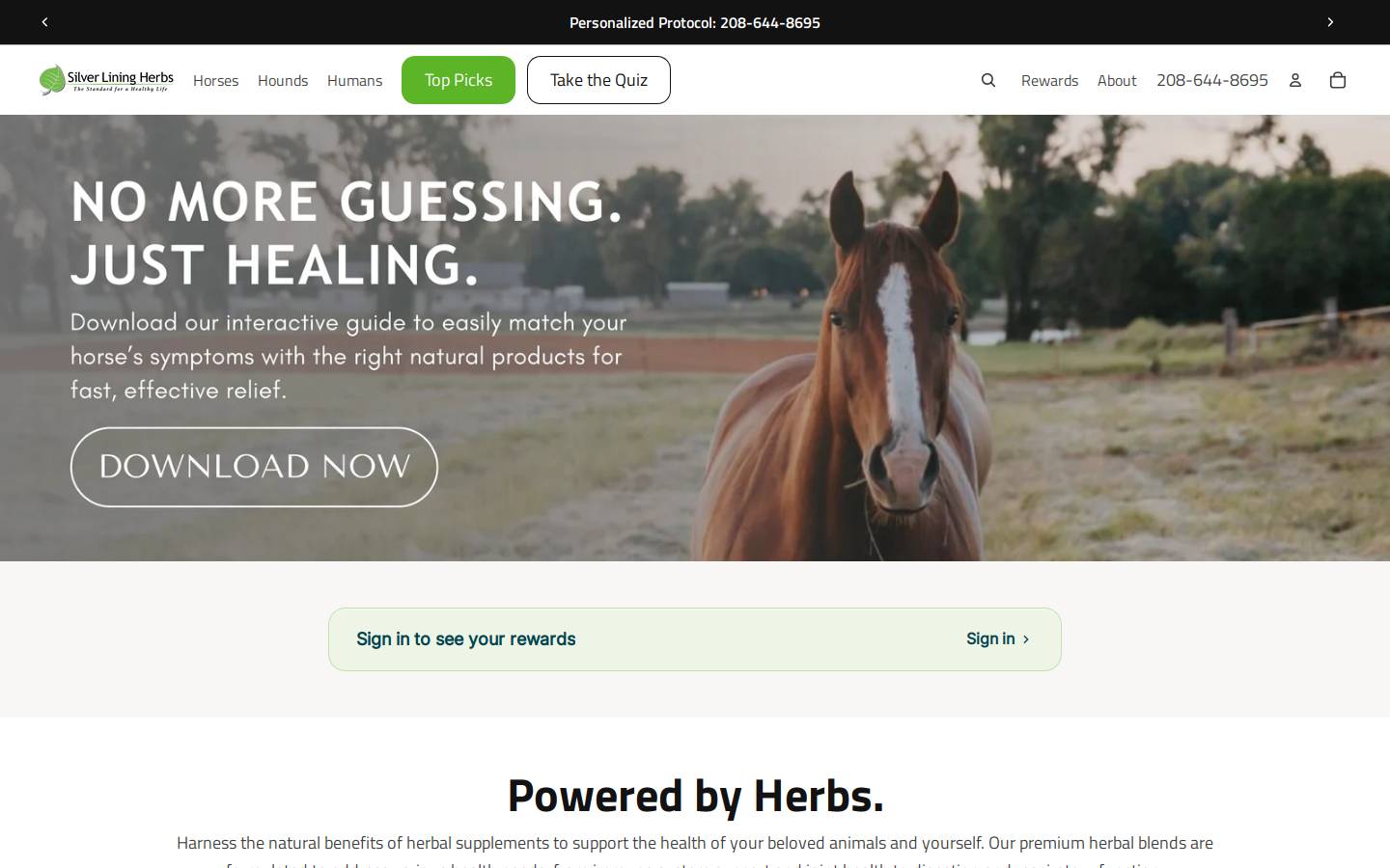 Silver Lining Herbs homepage screenshot