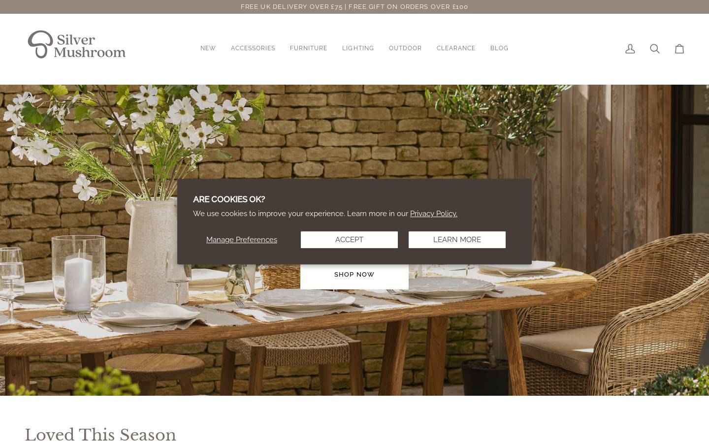 Silver Mushroom Ltd homepage screenshot