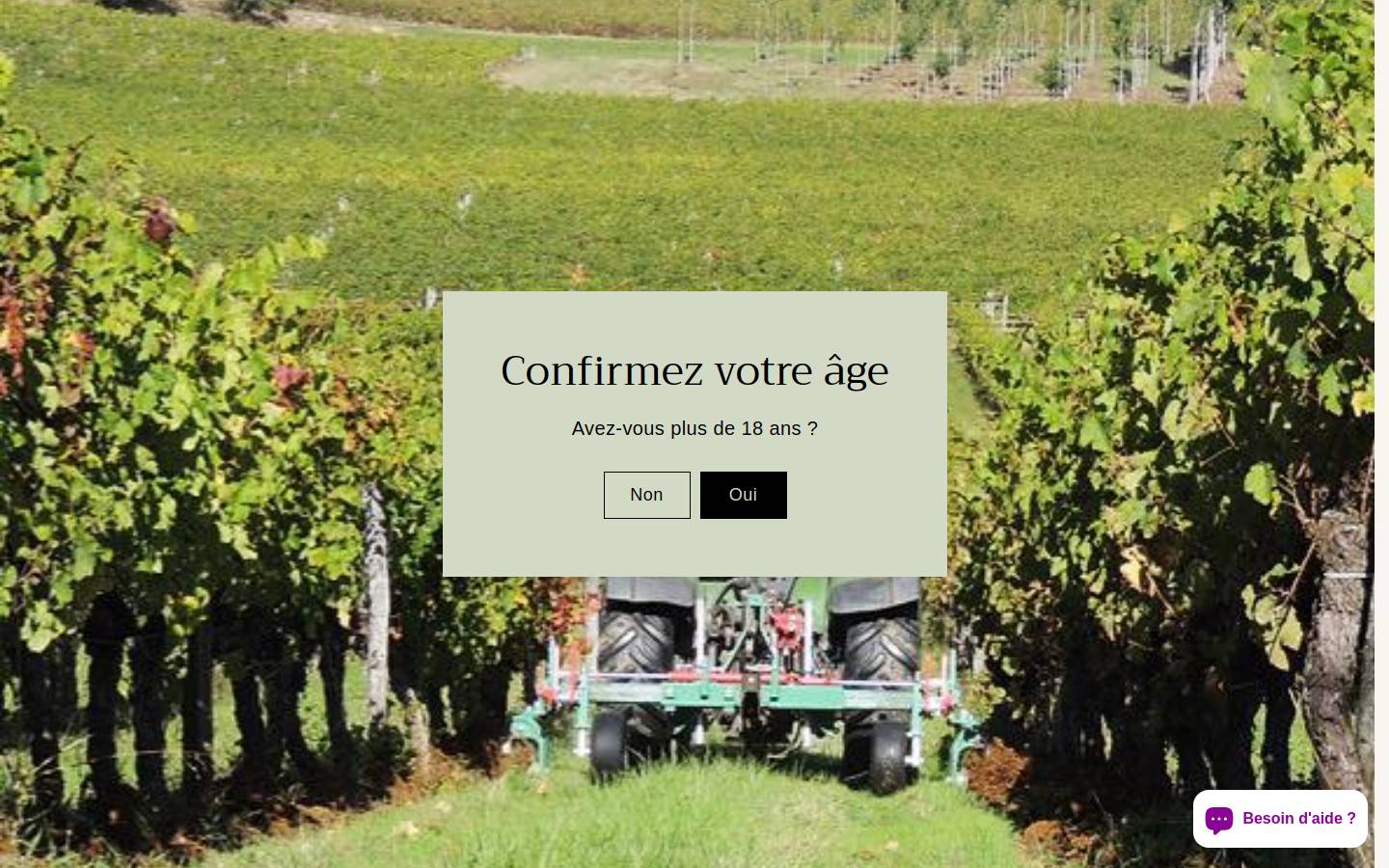 simplecommebacchus.fr homepage screenshot