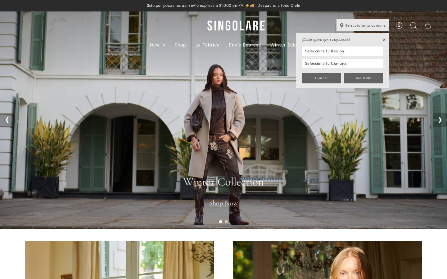 singolare.cl homepage screenshot
