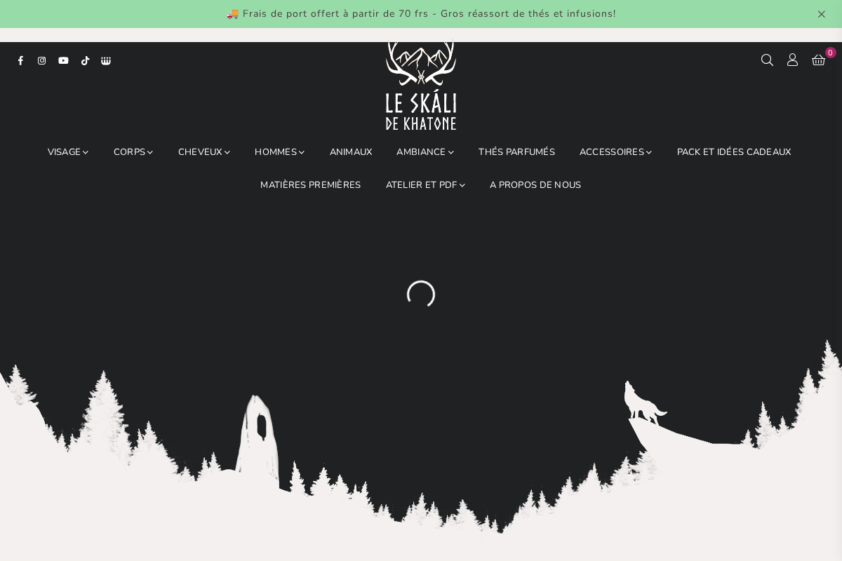 skali.ch homepage screenshot