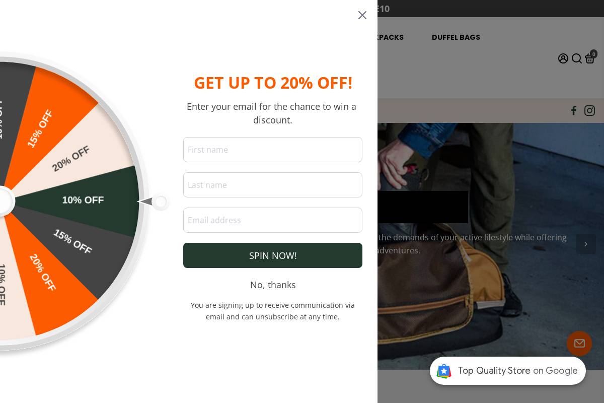 skibags.com homepage screenshot