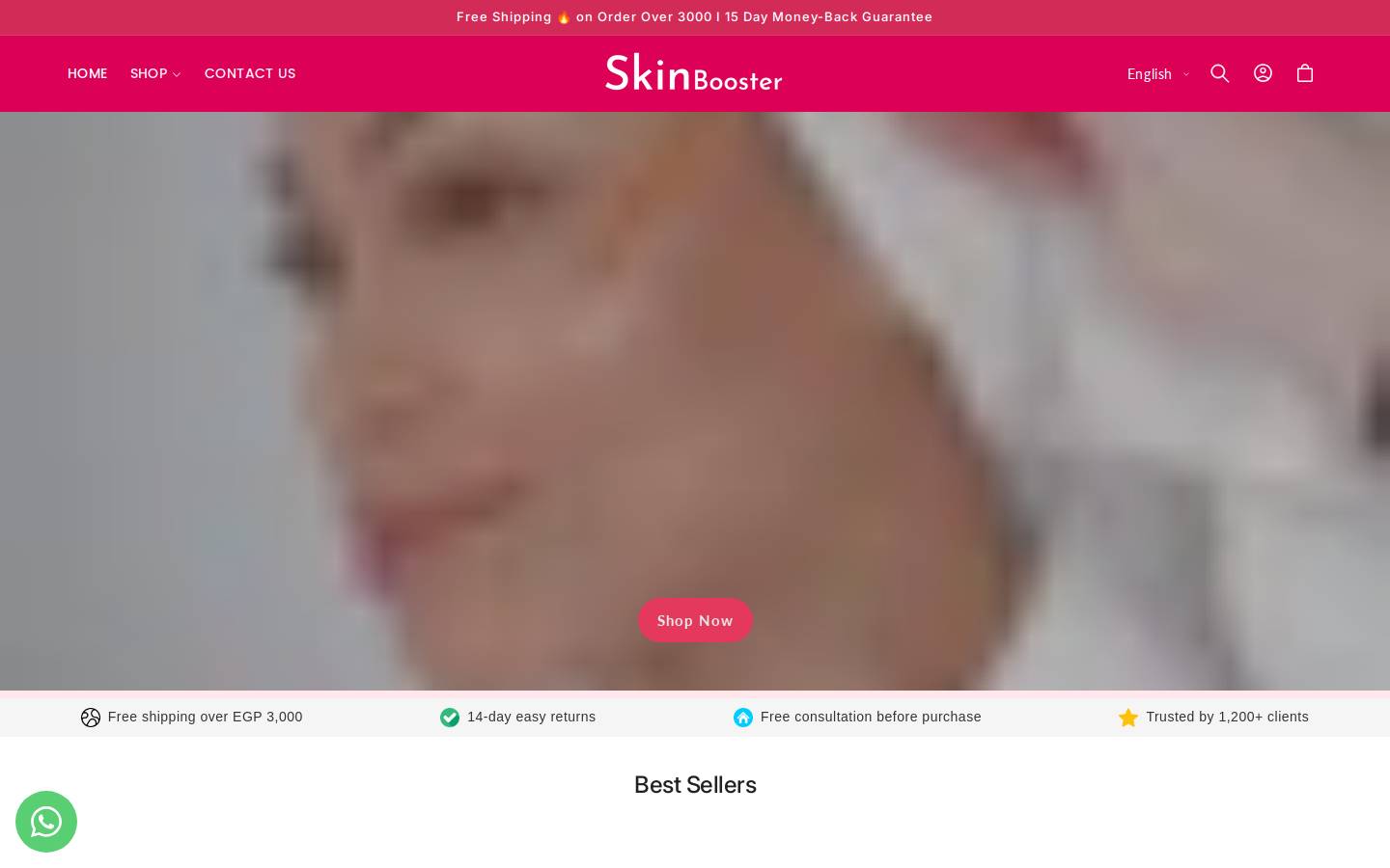 skinbooster.online homepage screenshot