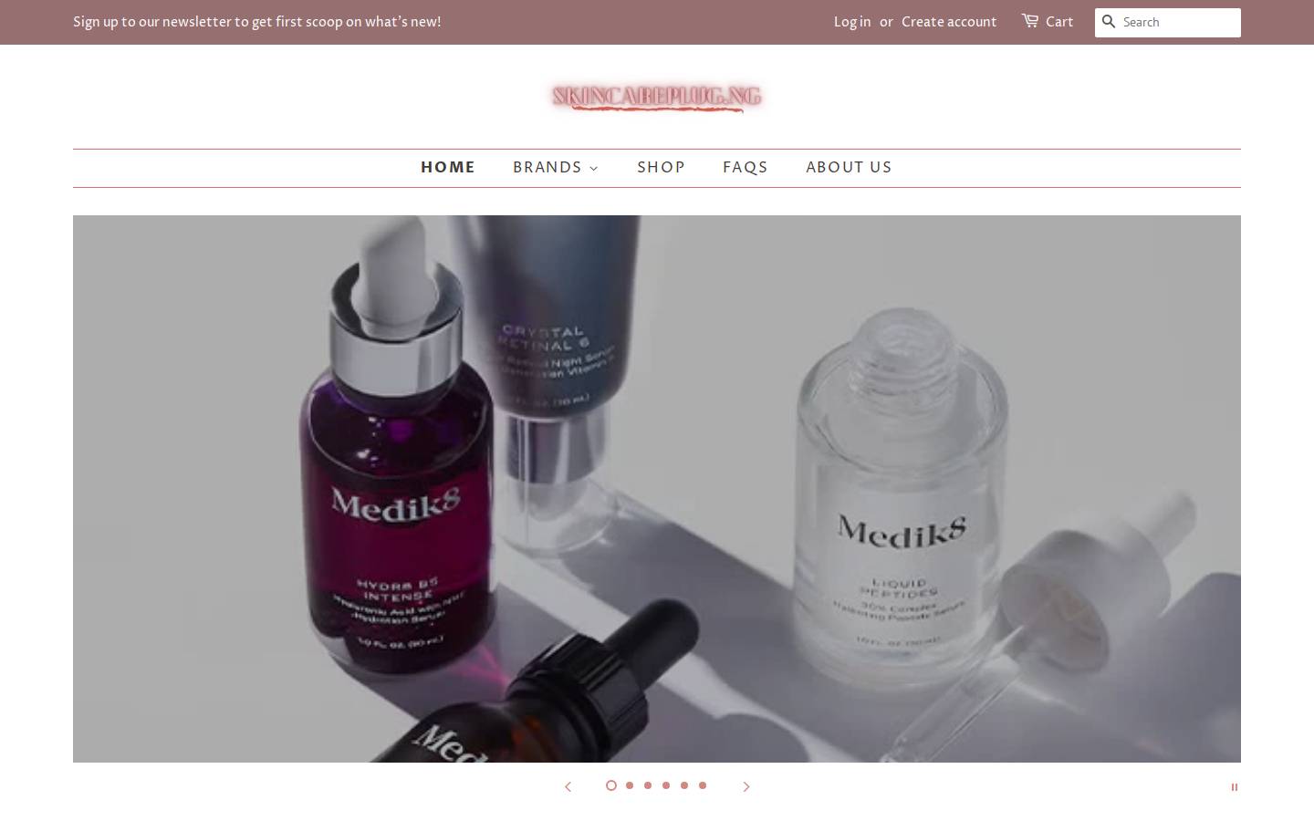 skincareplug-ng.com homepage screenshot