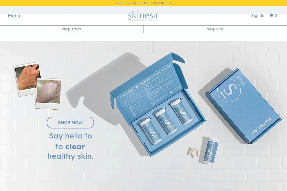 Skinesa homepage screenshot