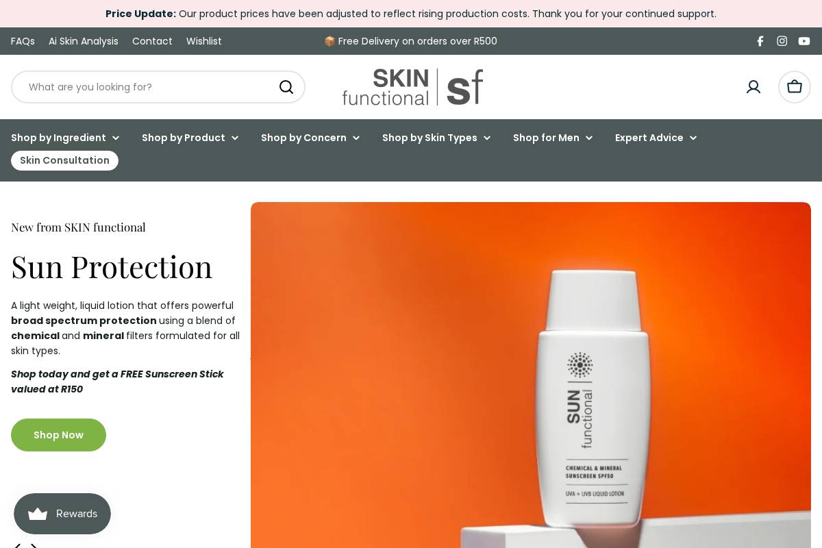 SKIN functional homepage screenshot