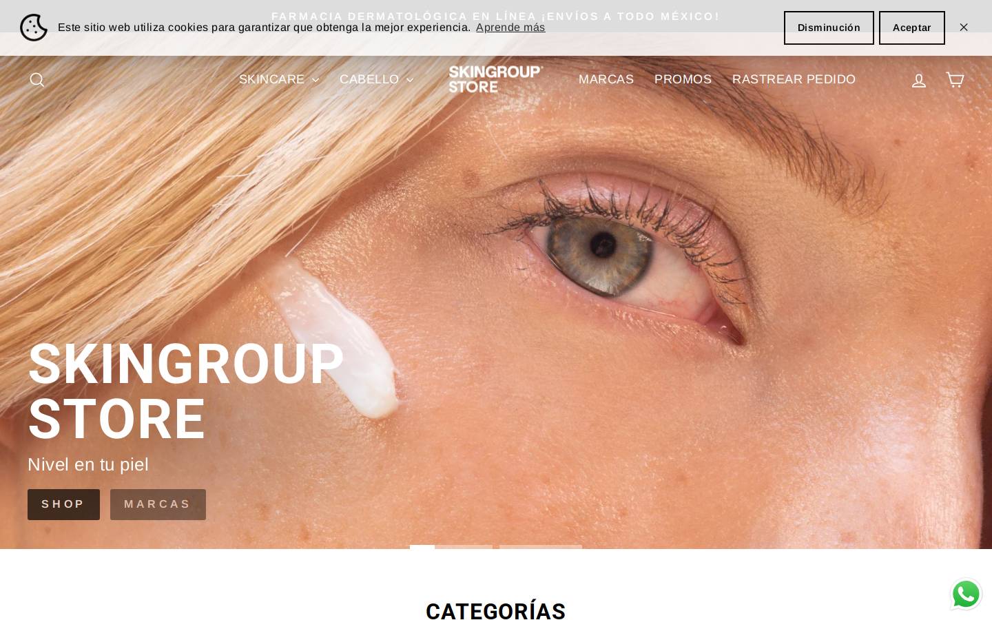 skingroupstore.mx homepage screenshot