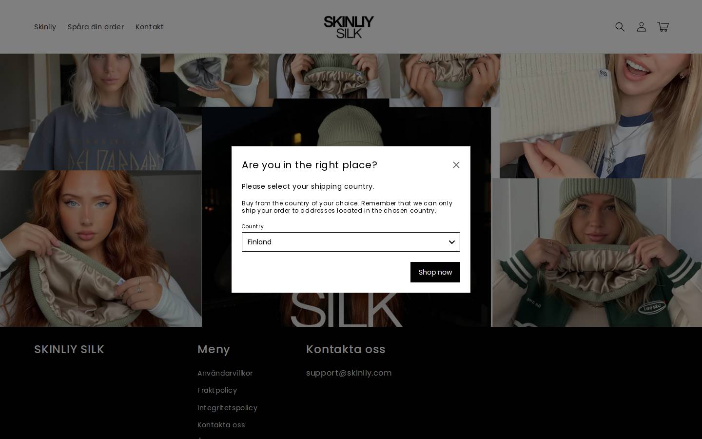 Skinliy homepage screenshot