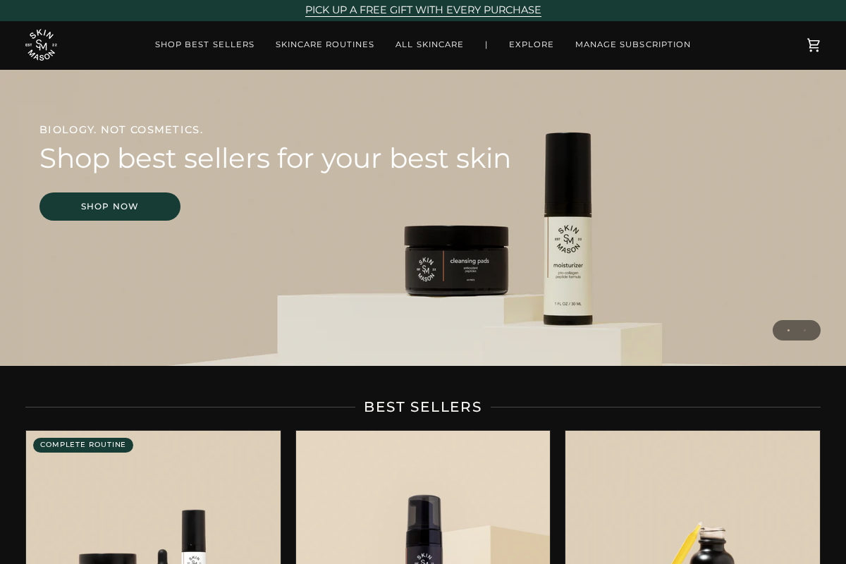 SkinMason homepage screenshot