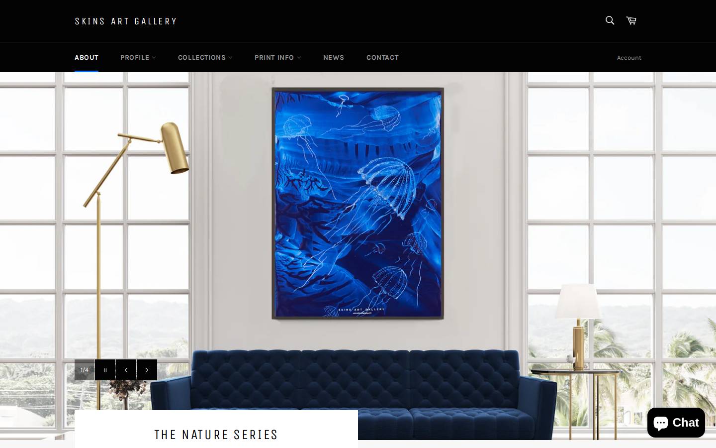 skinsartgallery.com homepage screenshot