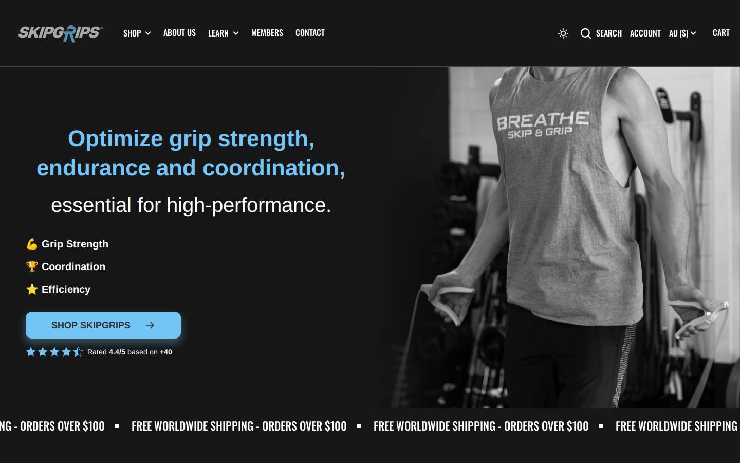 skipgrips.com homepage screenshot