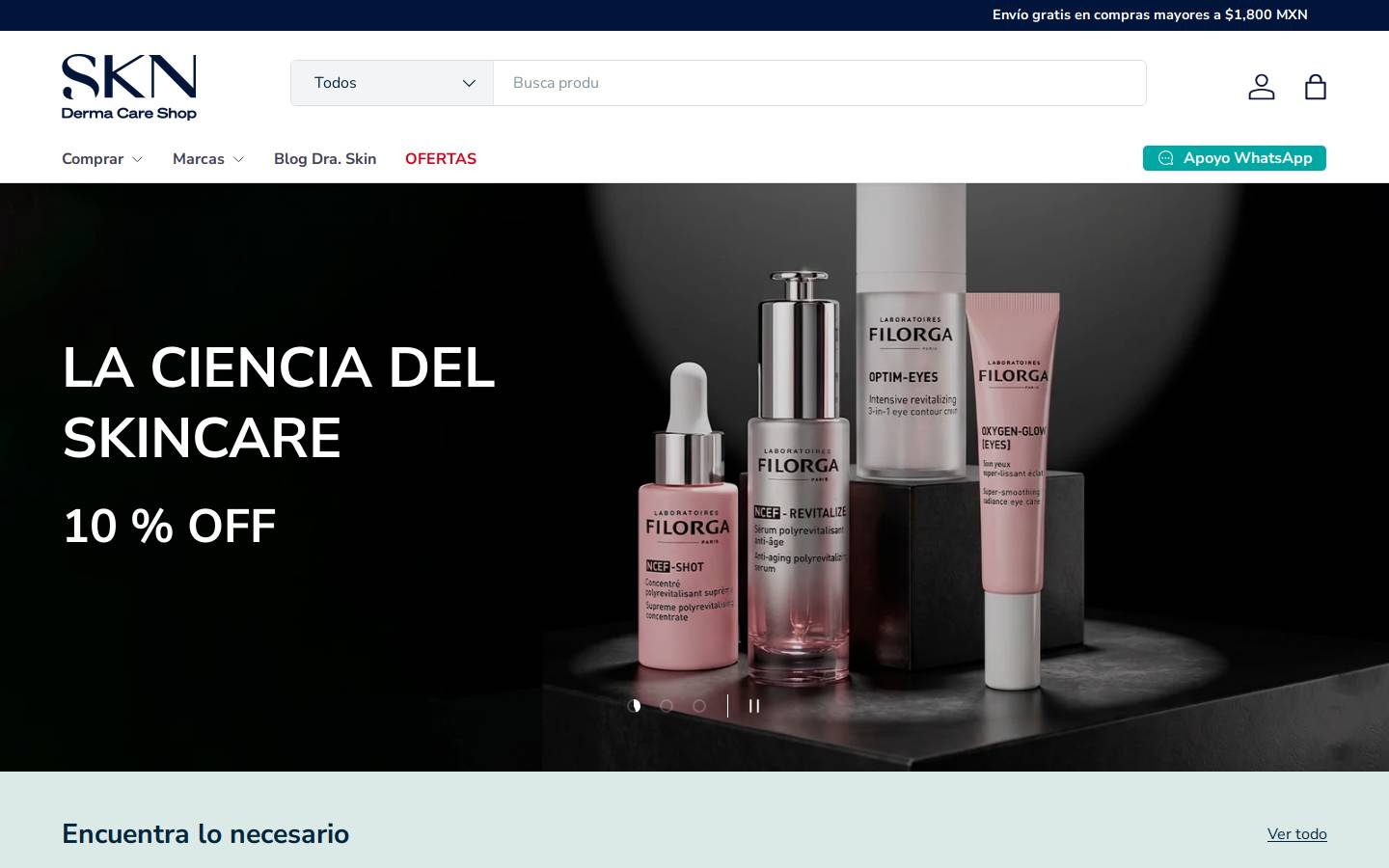 skn.com.mx homepage screenshot