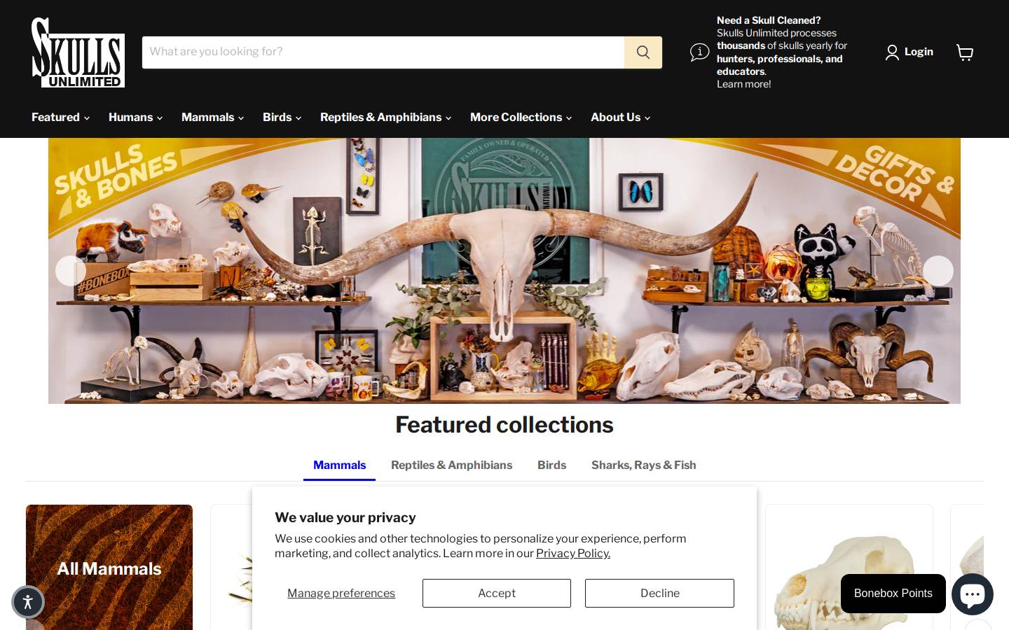 Skullsunlimited homepage screenshot