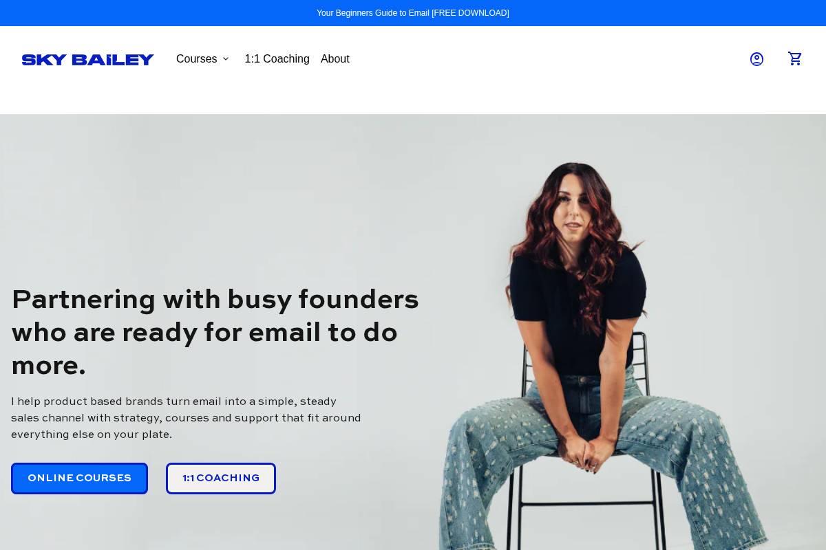 skybailey.com homepage screenshot