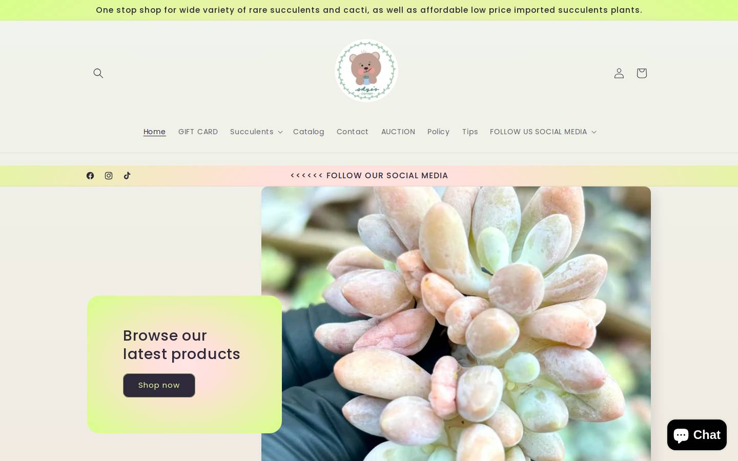 skyesucculentcorner.com homepage screenshot