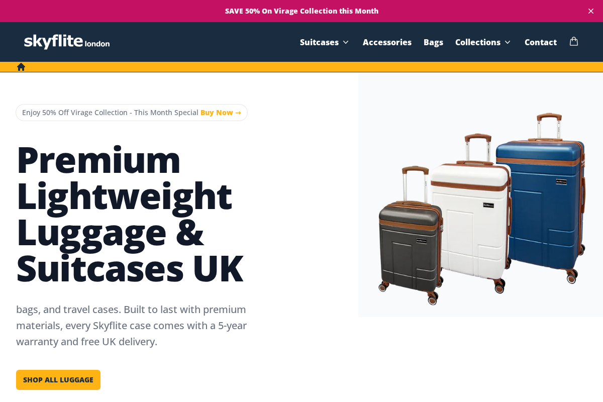 Skyflite homepage screenshot