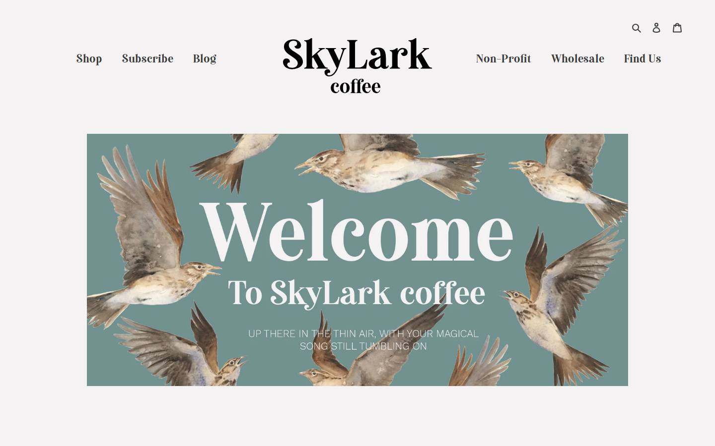 Skylark homepage screenshot