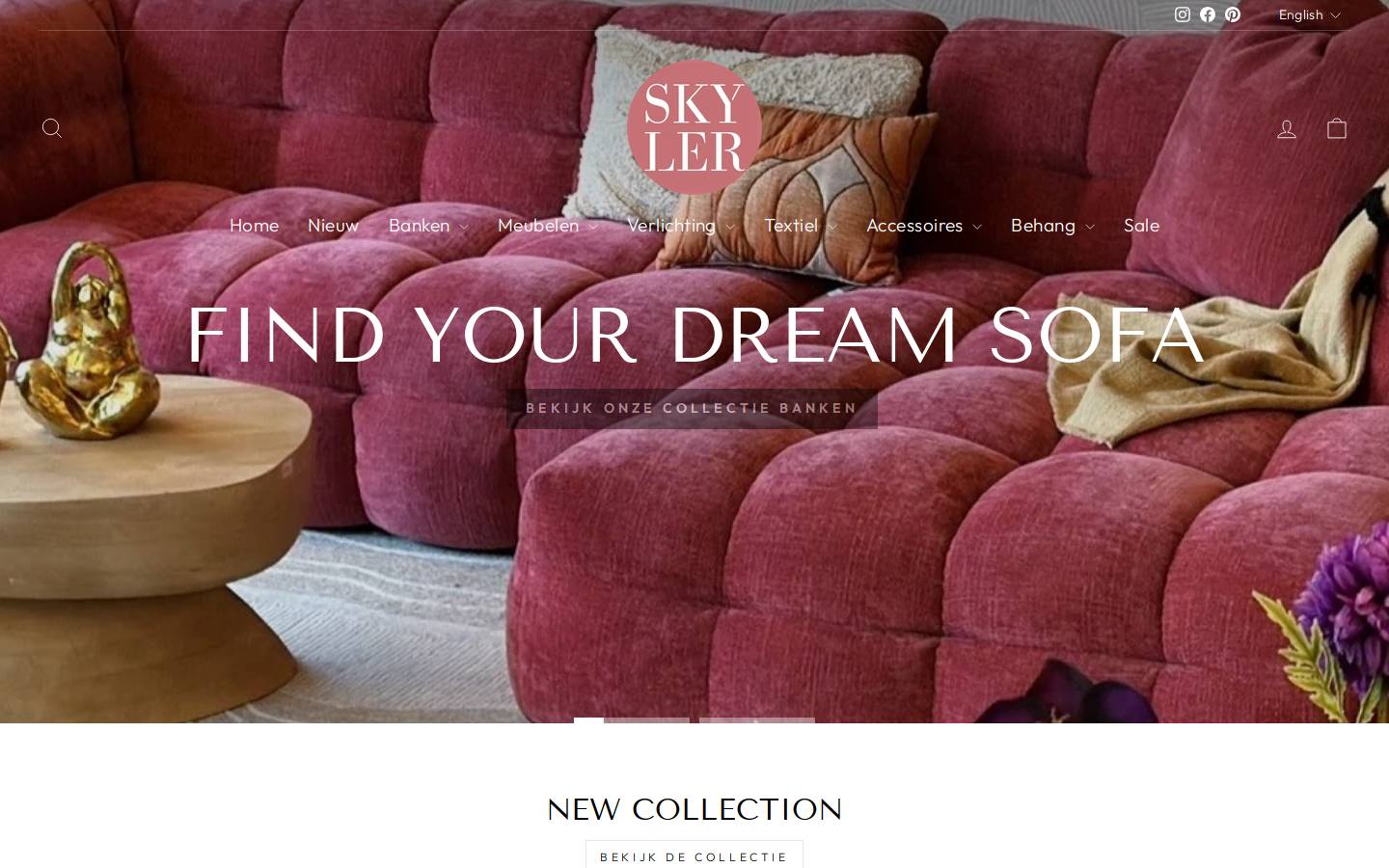 Skylerstore homepage screenshot