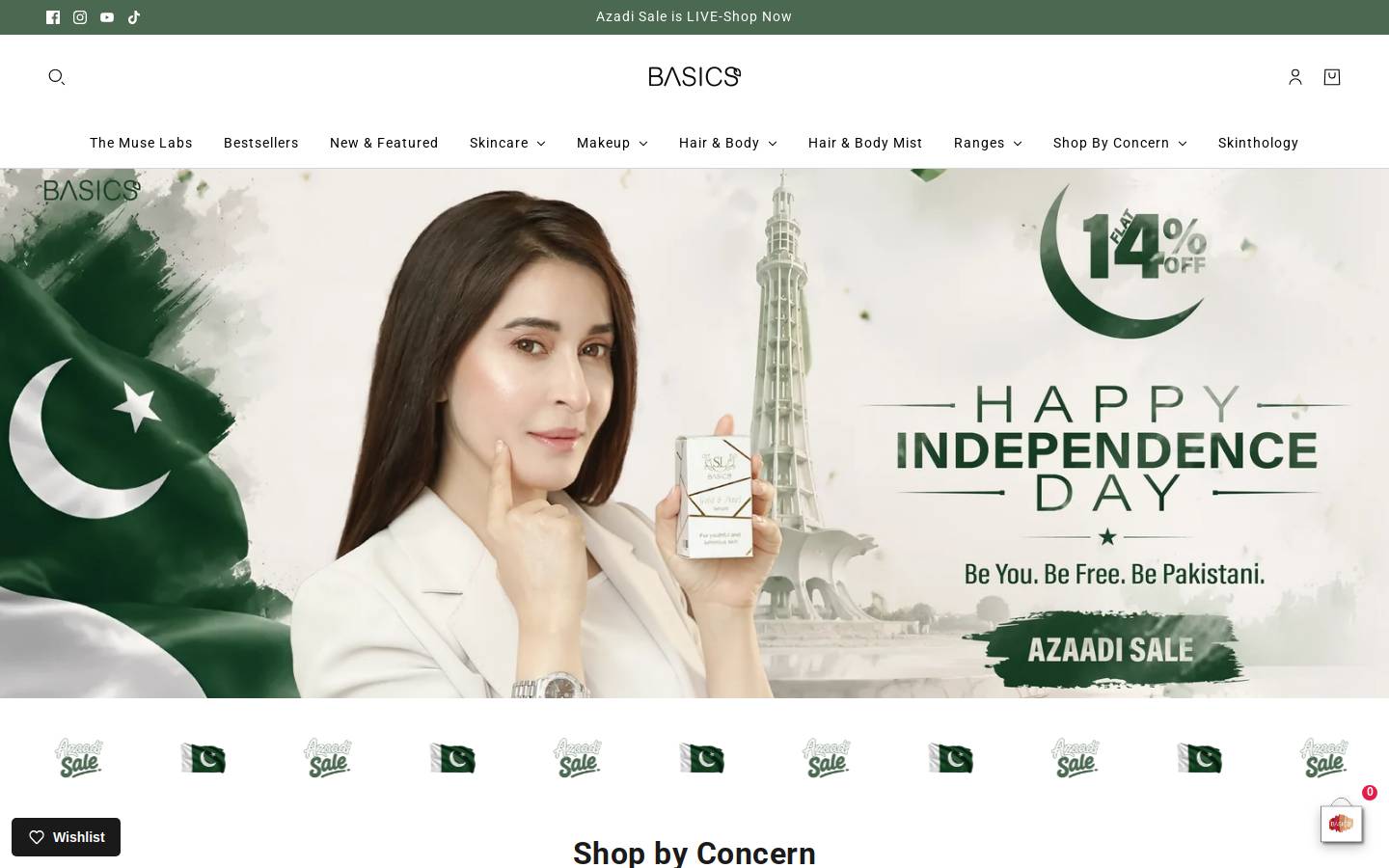 slbasics.com homepage screenshot