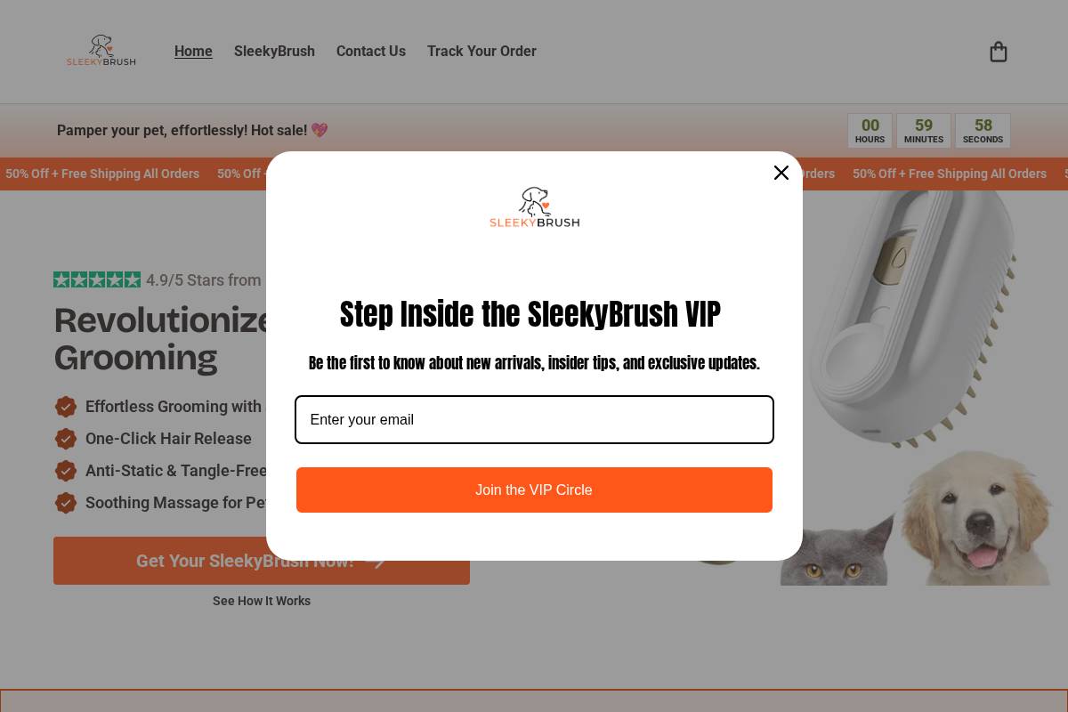 sleekybrush.com homepage screenshot