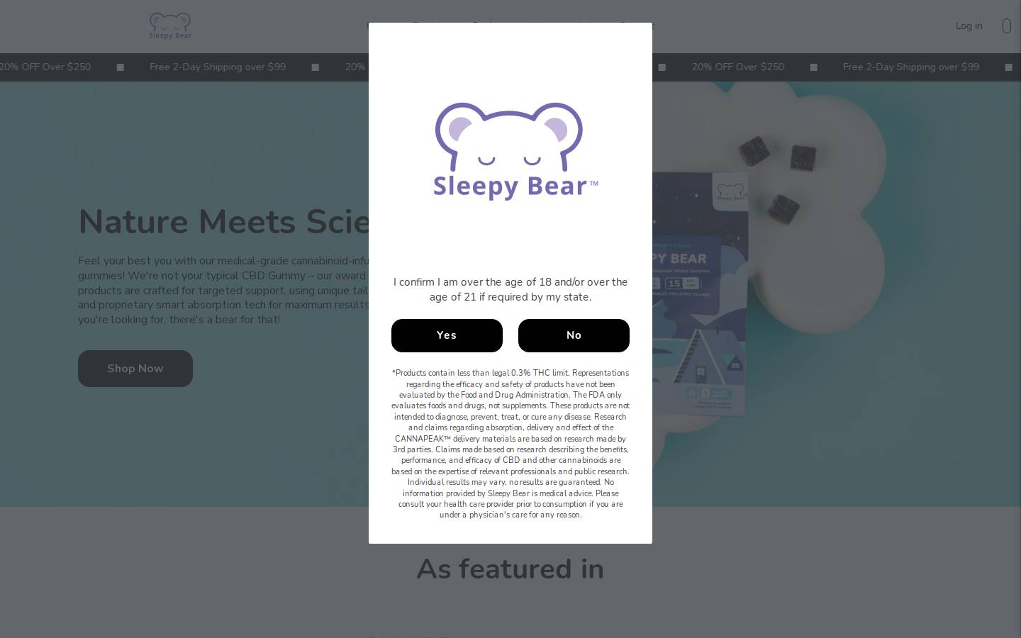 sleepybearwholesale.com homepage screenshot