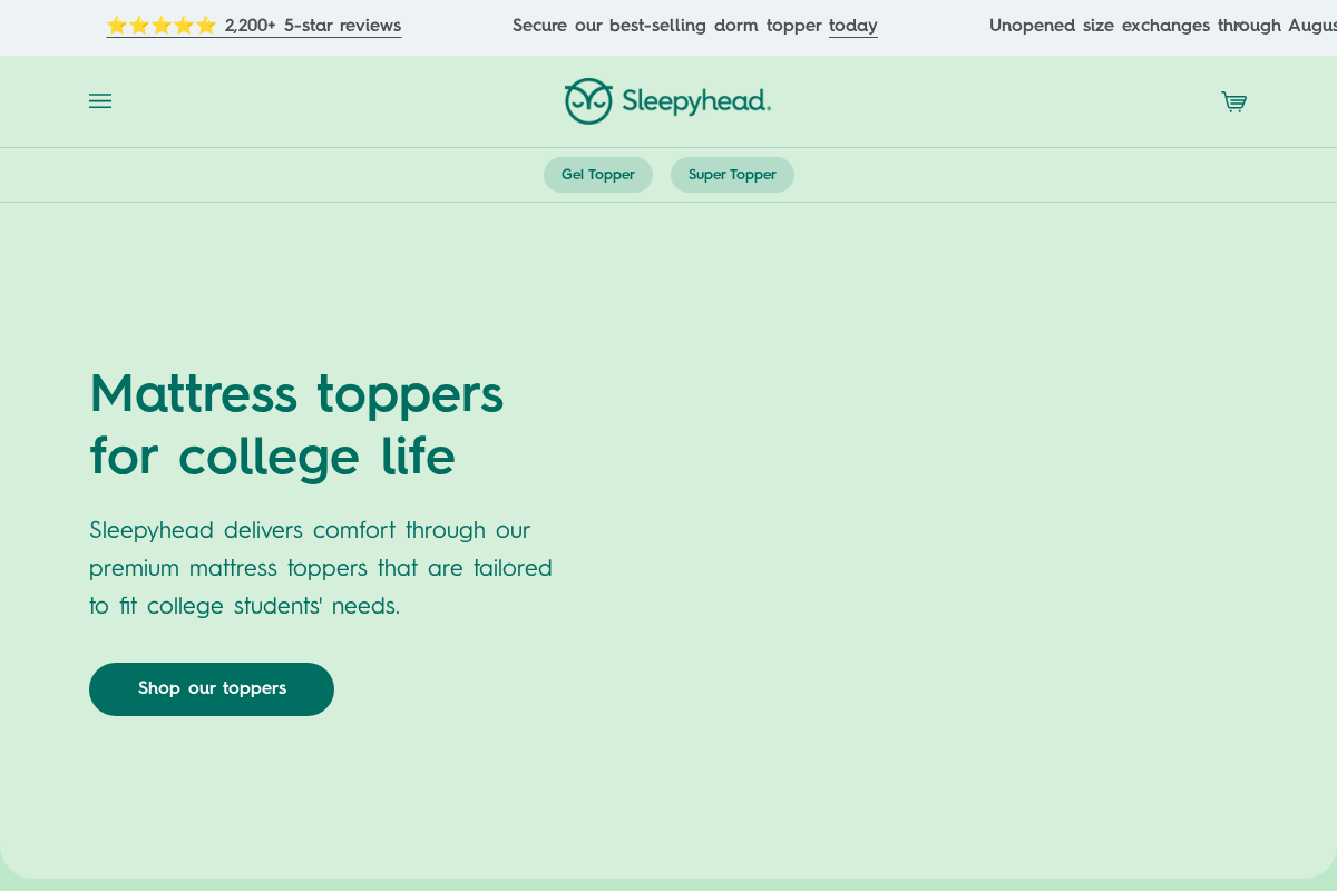 Sleepyhead homepage screenshot