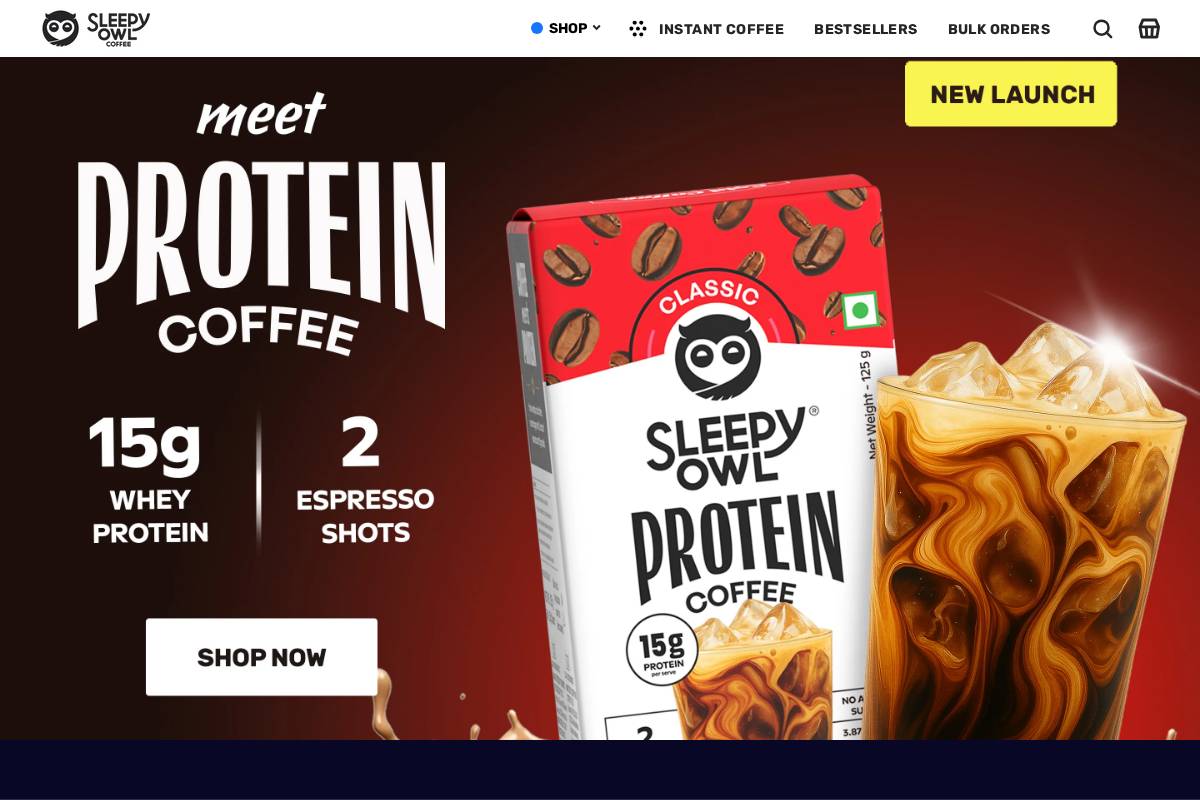 sleepyowl.co homepage screenshot