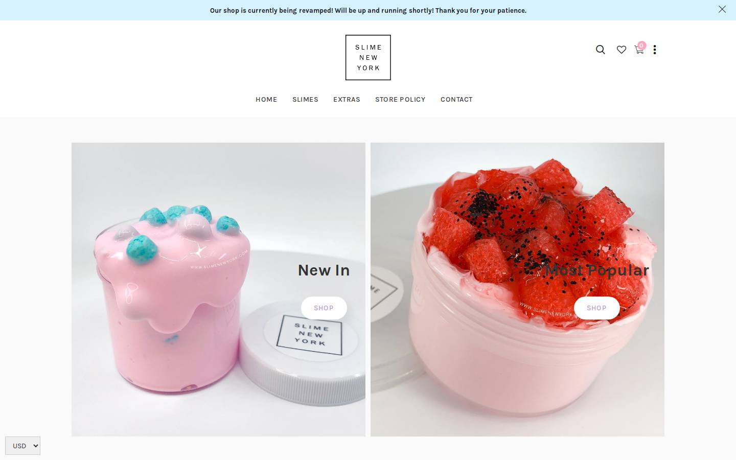 slimenewyork.com homepage screenshot