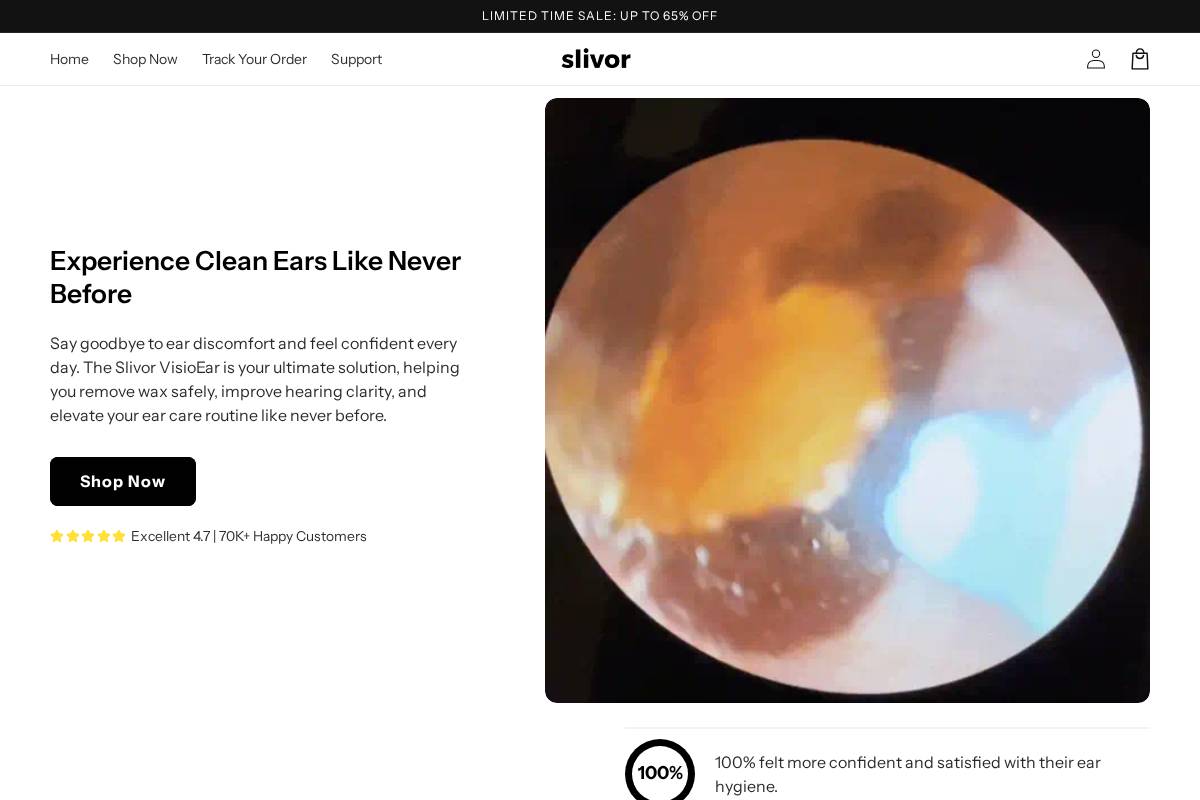 Slivor homepage screenshot