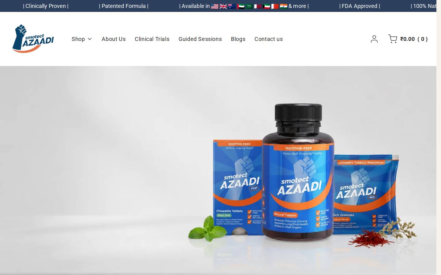 smotect.com homepage screenshot