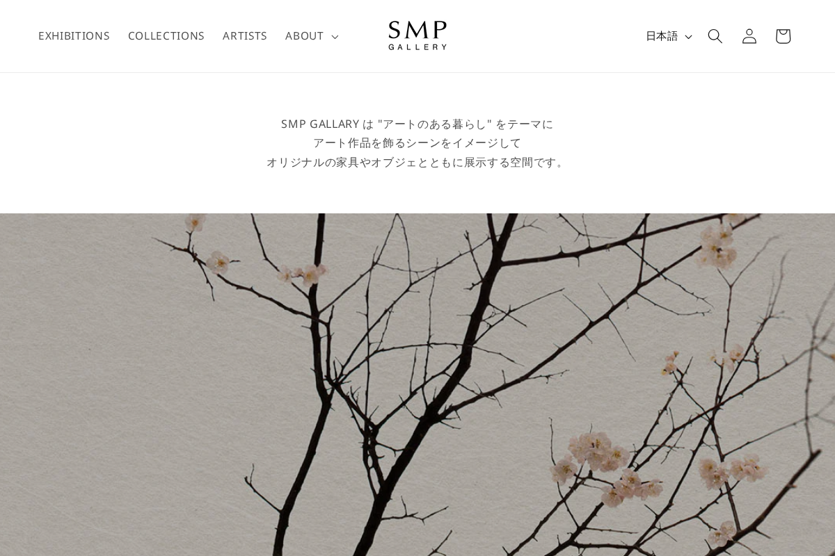 smp-gallery.com homepage screenshot