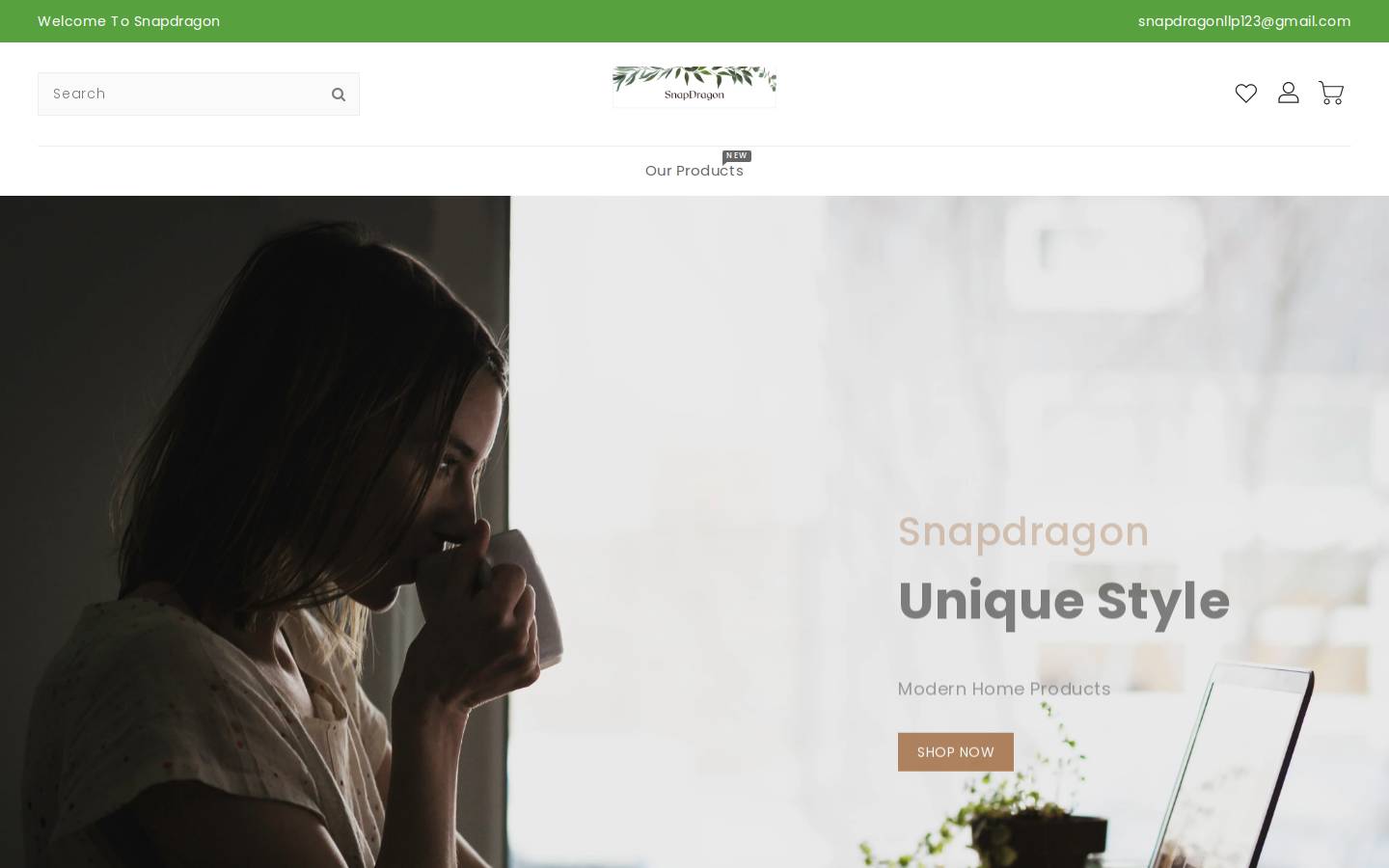 snapdragononlineservices.com homepage screenshot