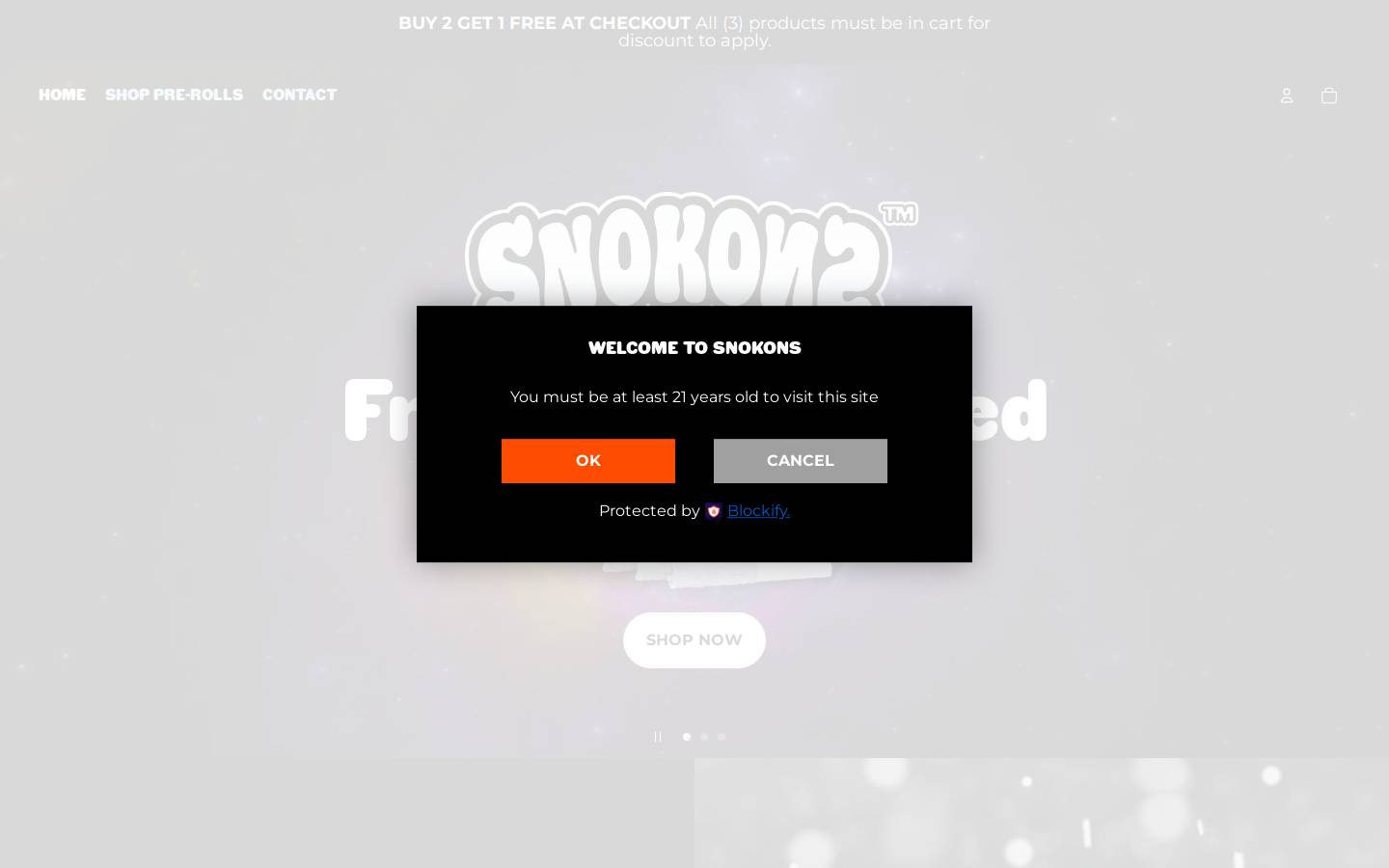 snokons.com homepage screenshot