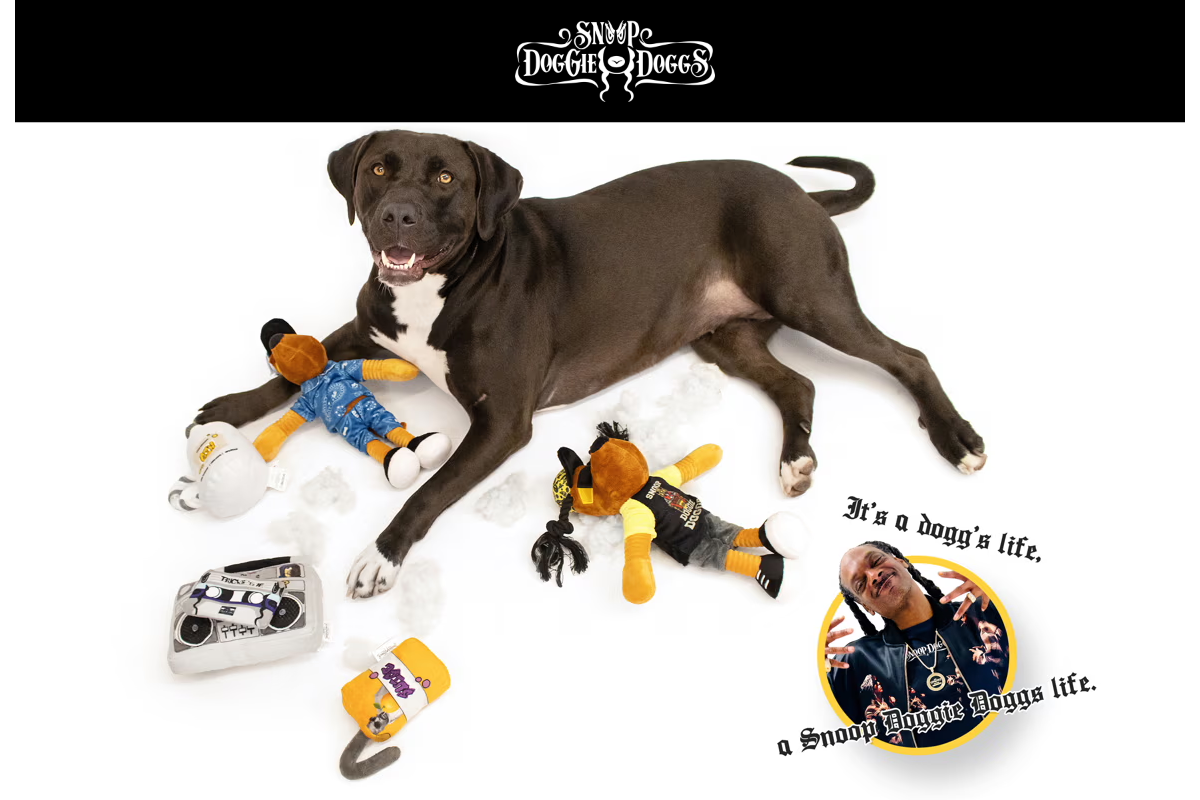 snoopdoggiedoggs.com homepage screenshot