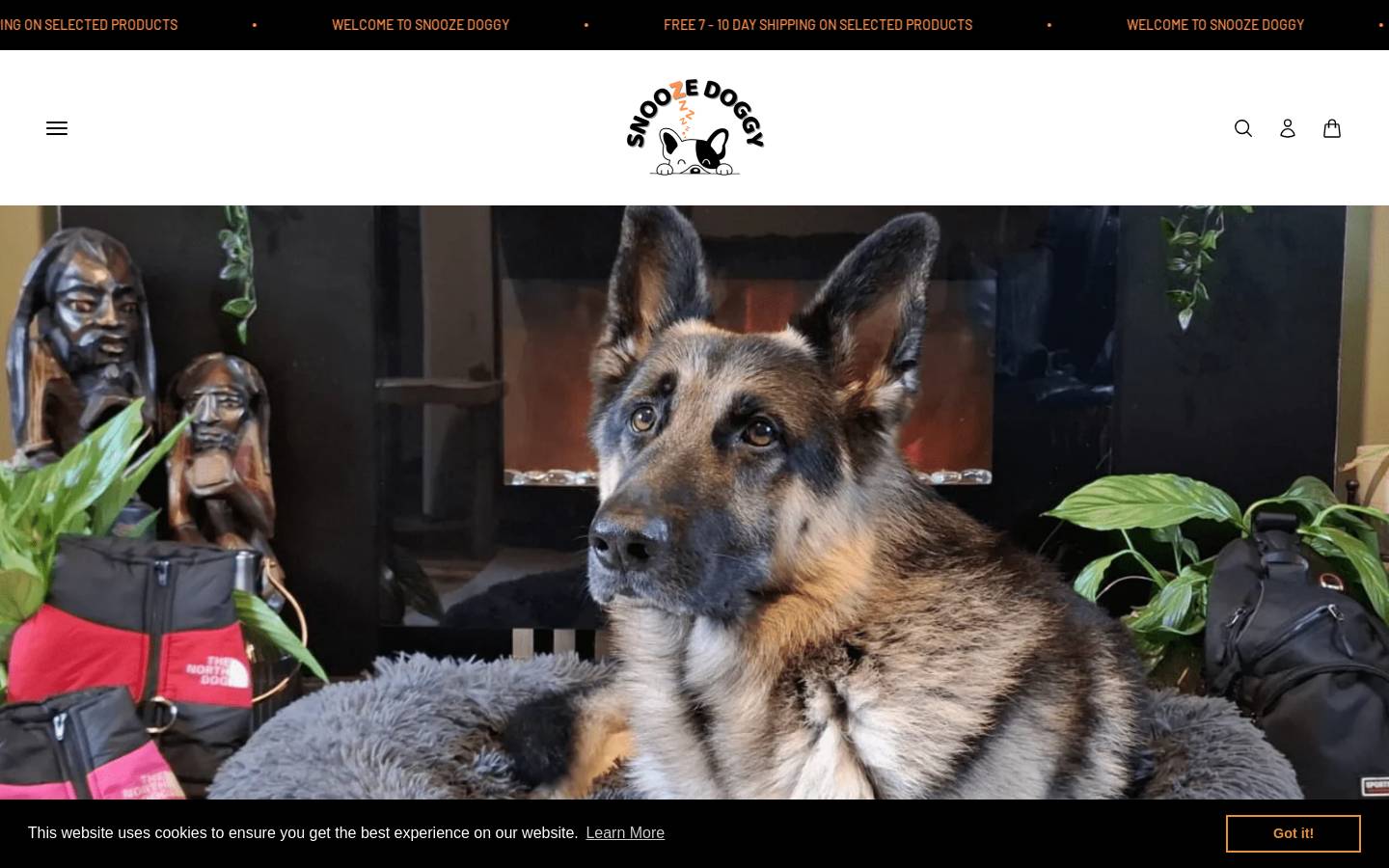 Snoozedoggy homepage screenshot