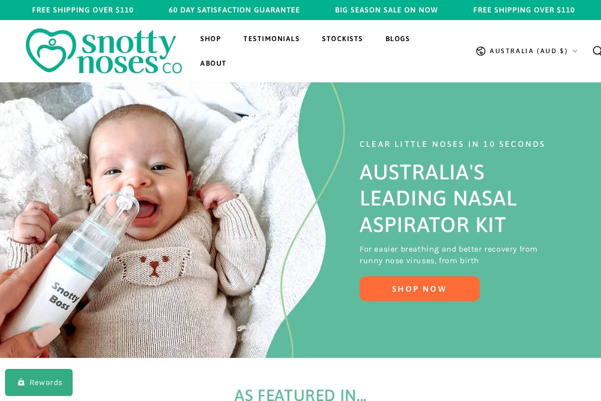Snotty Noses homepage screenshot