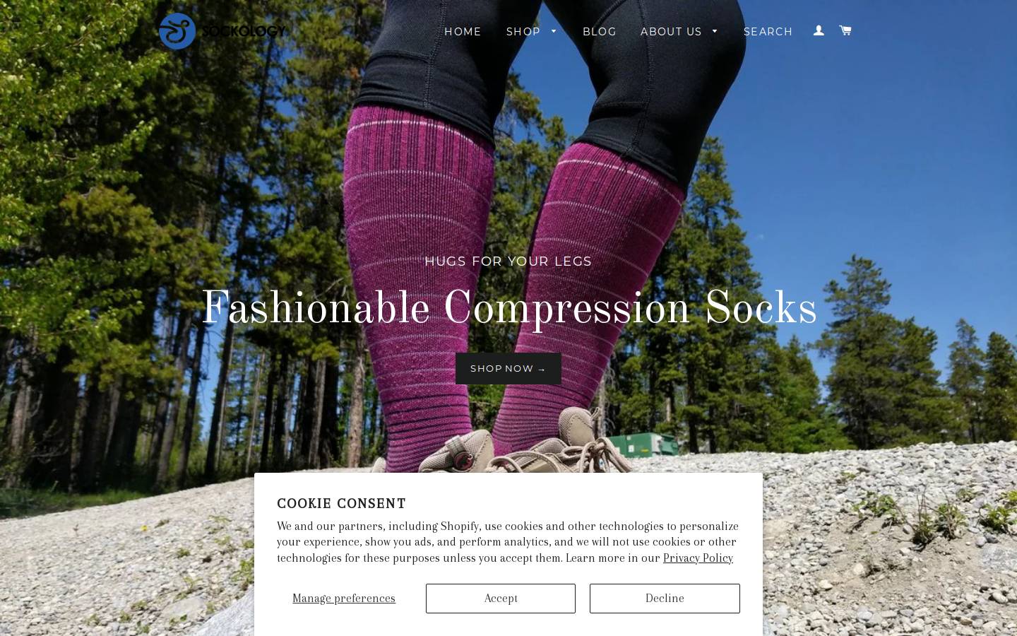 sockologyinc.com homepage screenshot