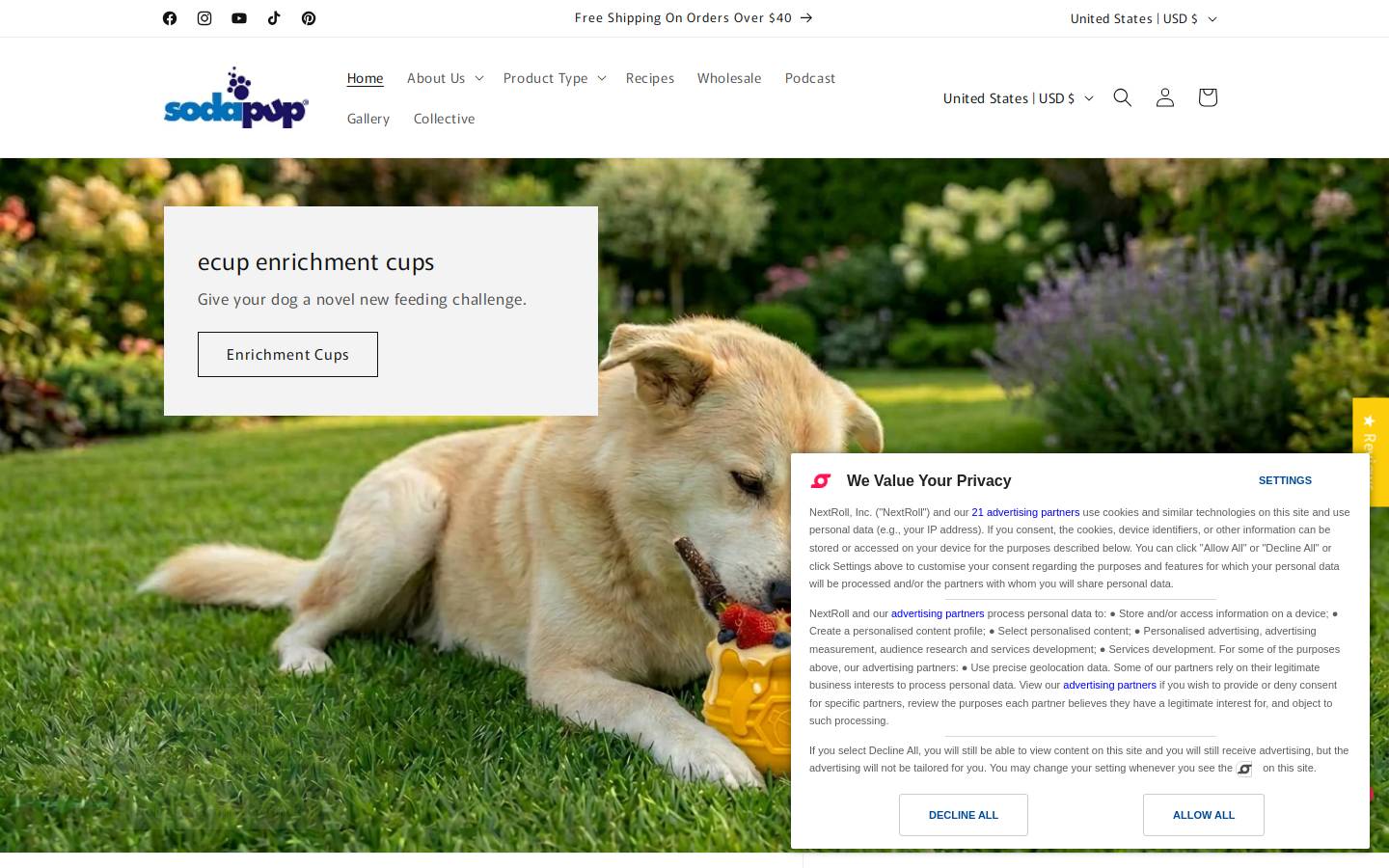 sodapup.com homepage screenshot