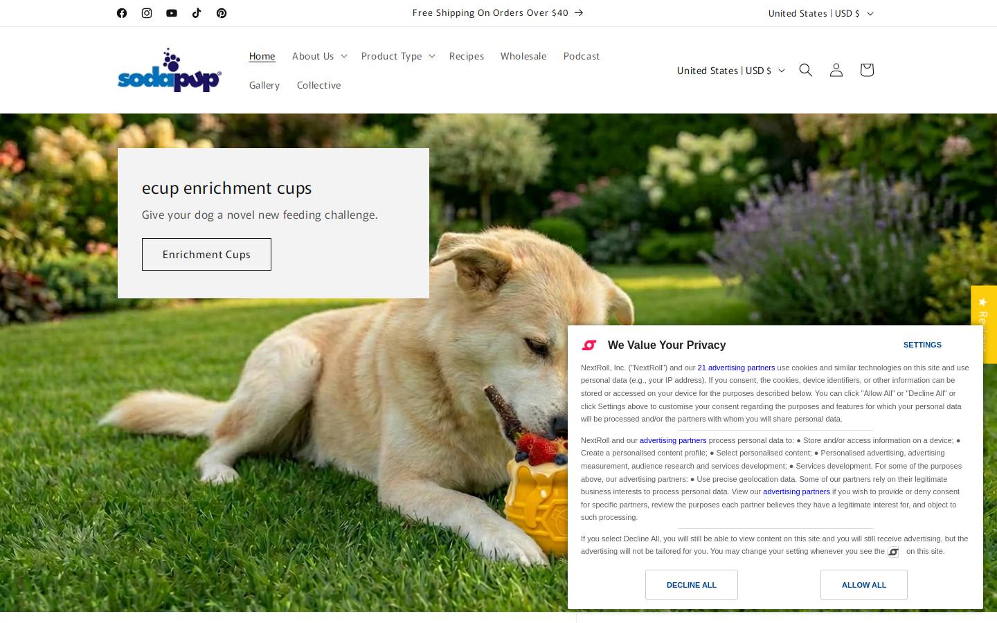 sodapup.com homepage screenshot