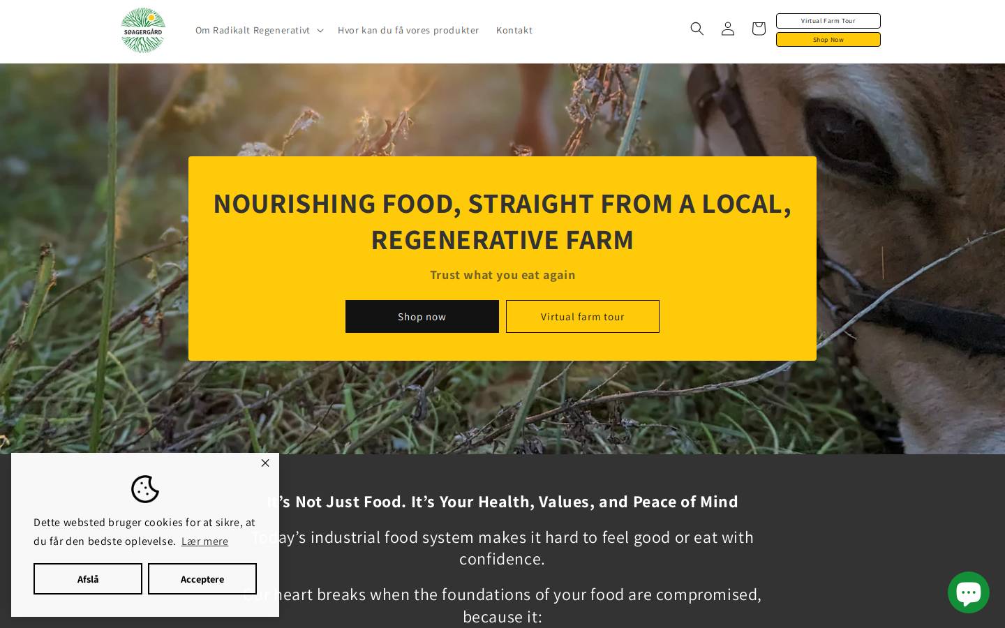 soeagergaard.com homepage screenshot