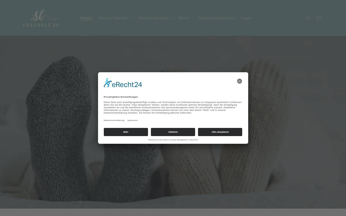 Soeckele homepage screenshot