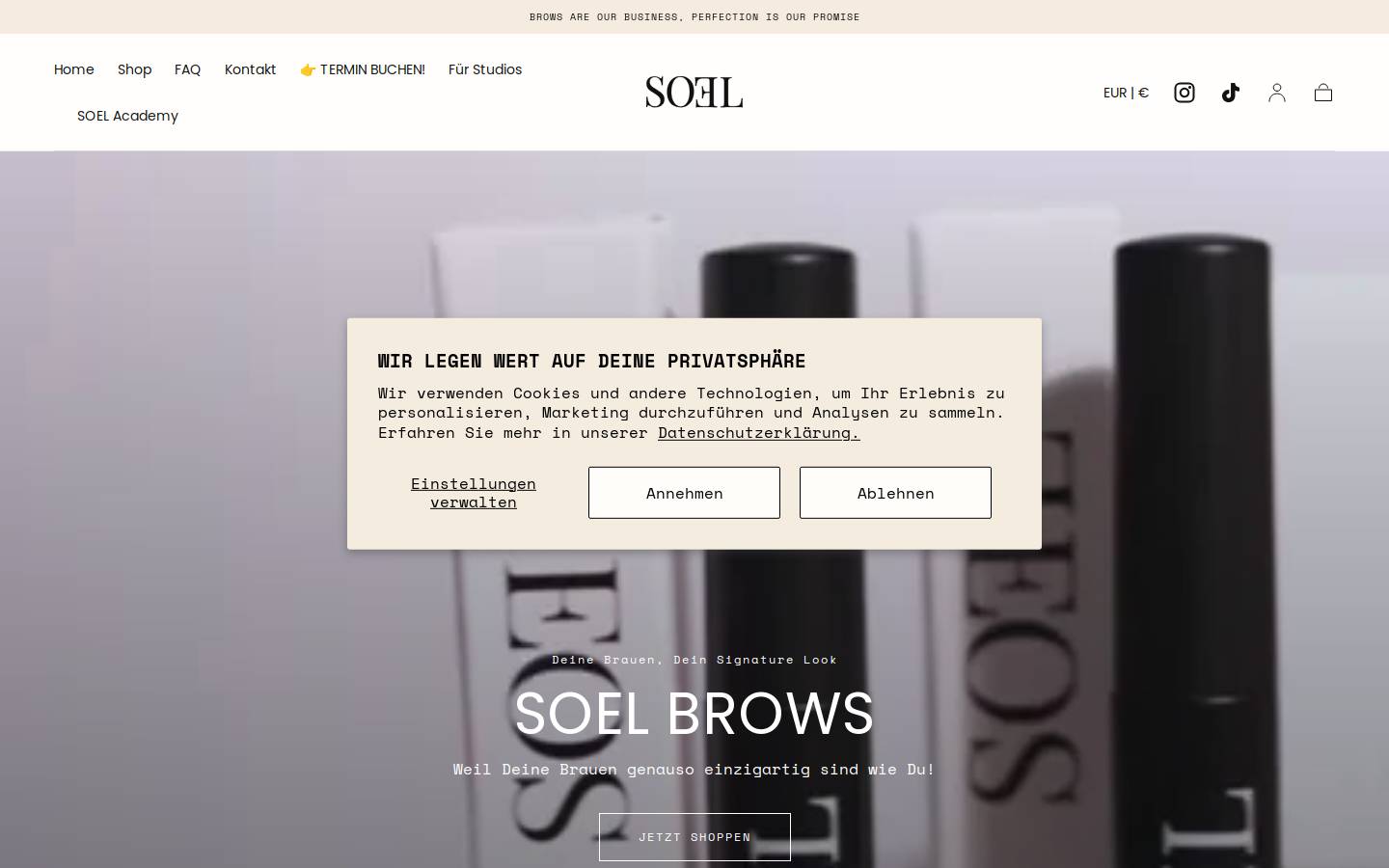 soelbrows.com homepage screenshot