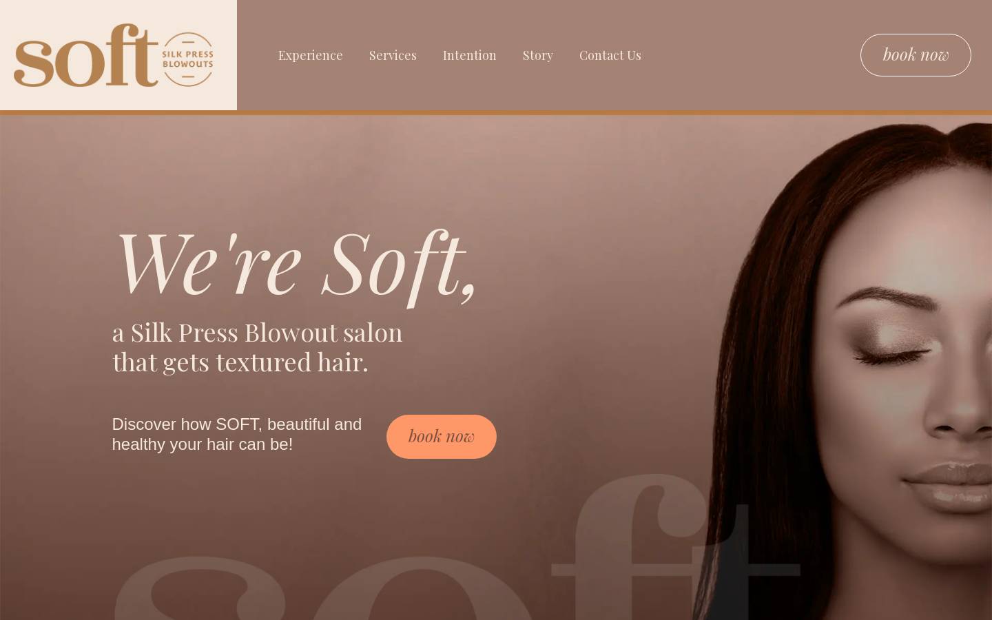softandwell.com homepage screenshot