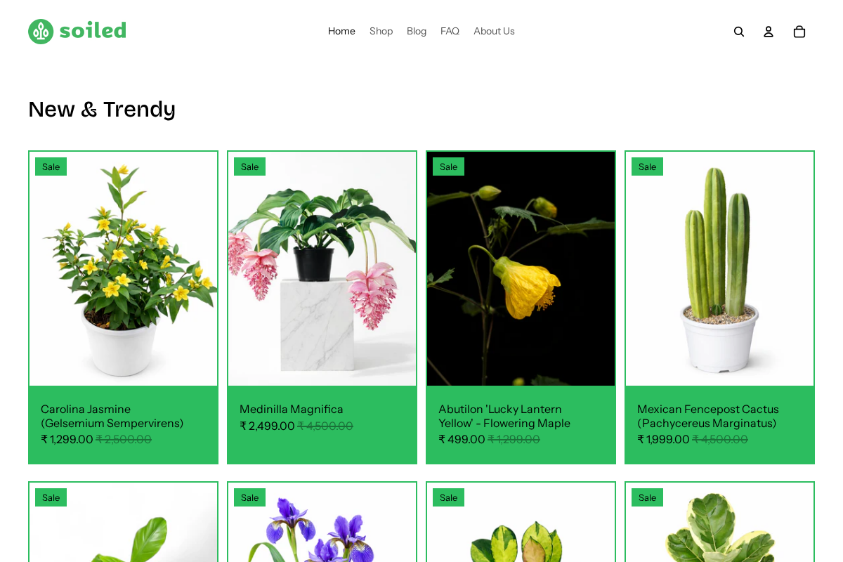 Soiled homepage screenshot