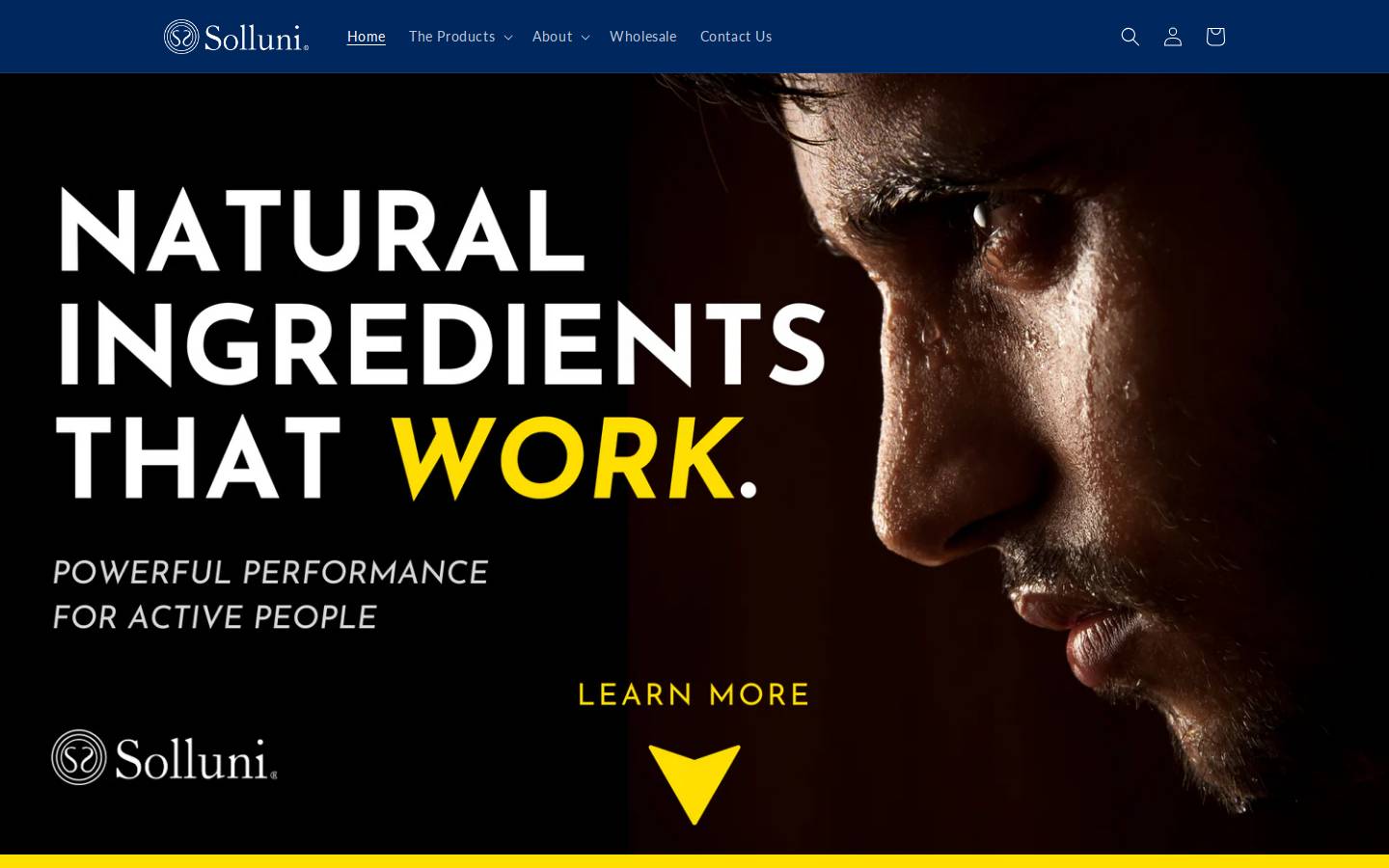 solluni.com homepage screenshot