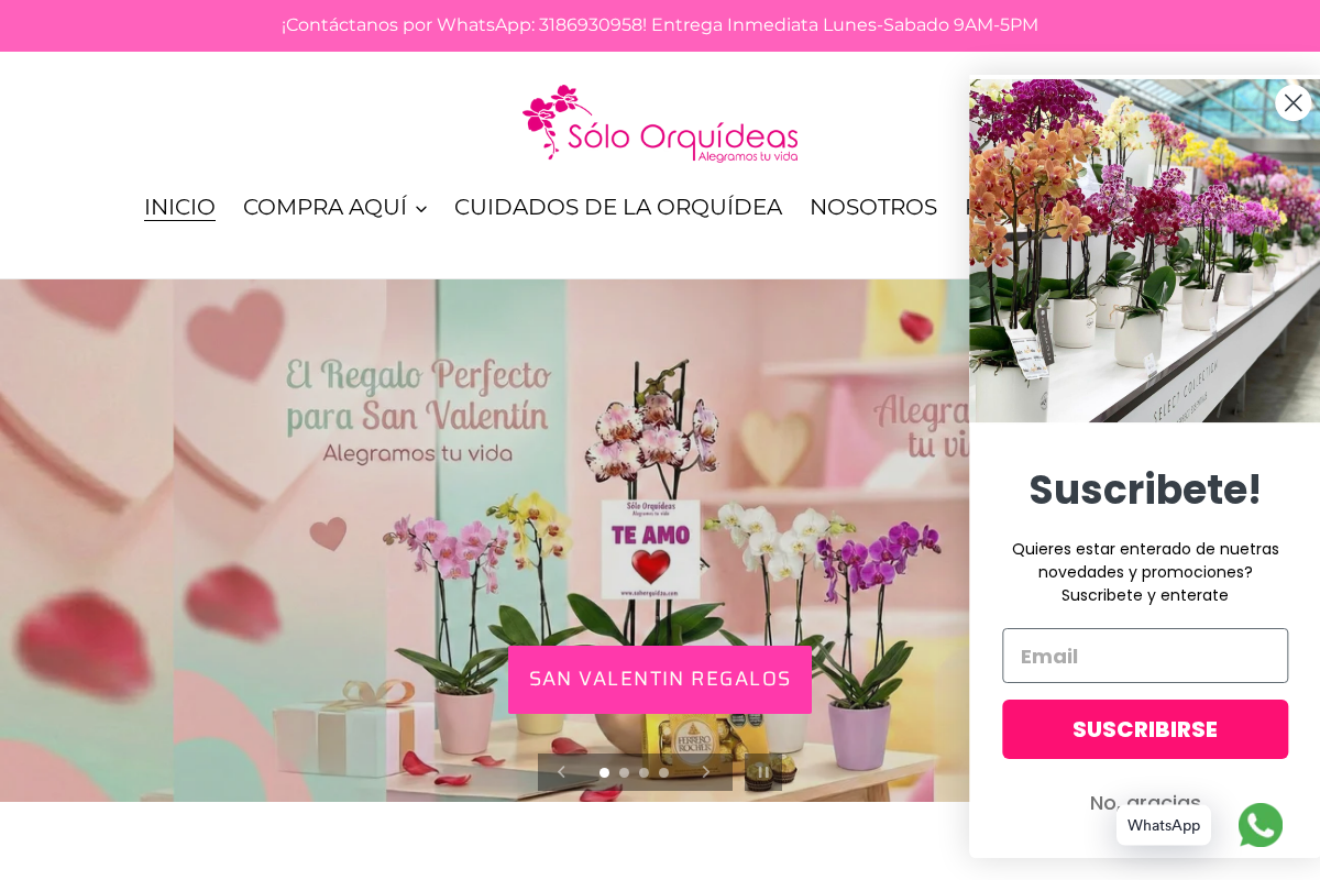 Solo Orquídeas homepage screenshot